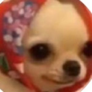 Meet your Posher, Janell